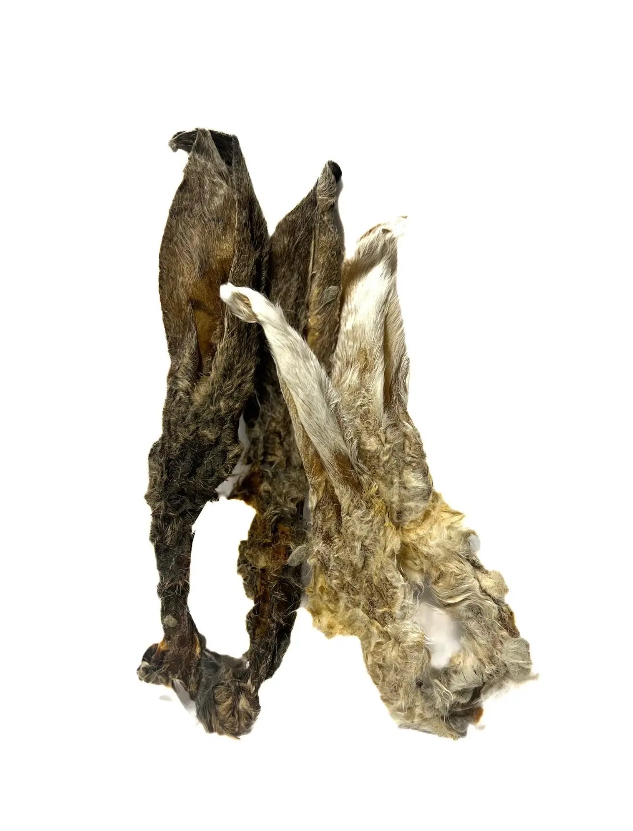 Oreille de Lapin - 2 Paires