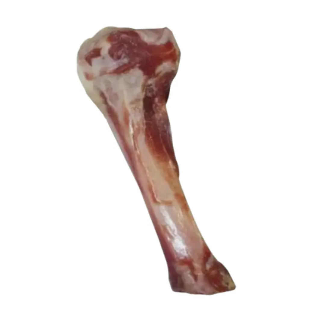 Os de Jambon - Taille M
